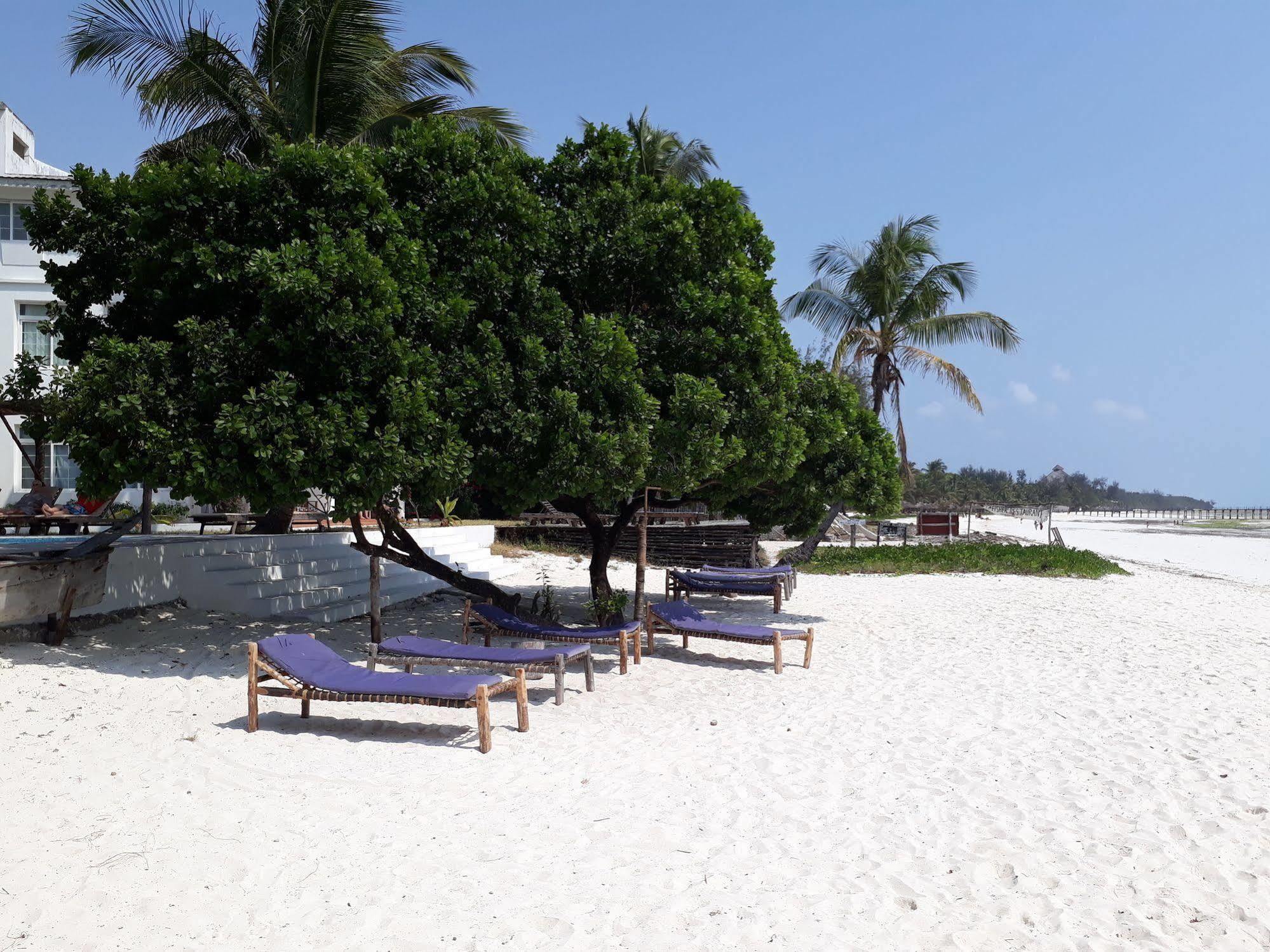 Albatross Ocean View Hotel Dongwe Ngoại thất bức ảnh