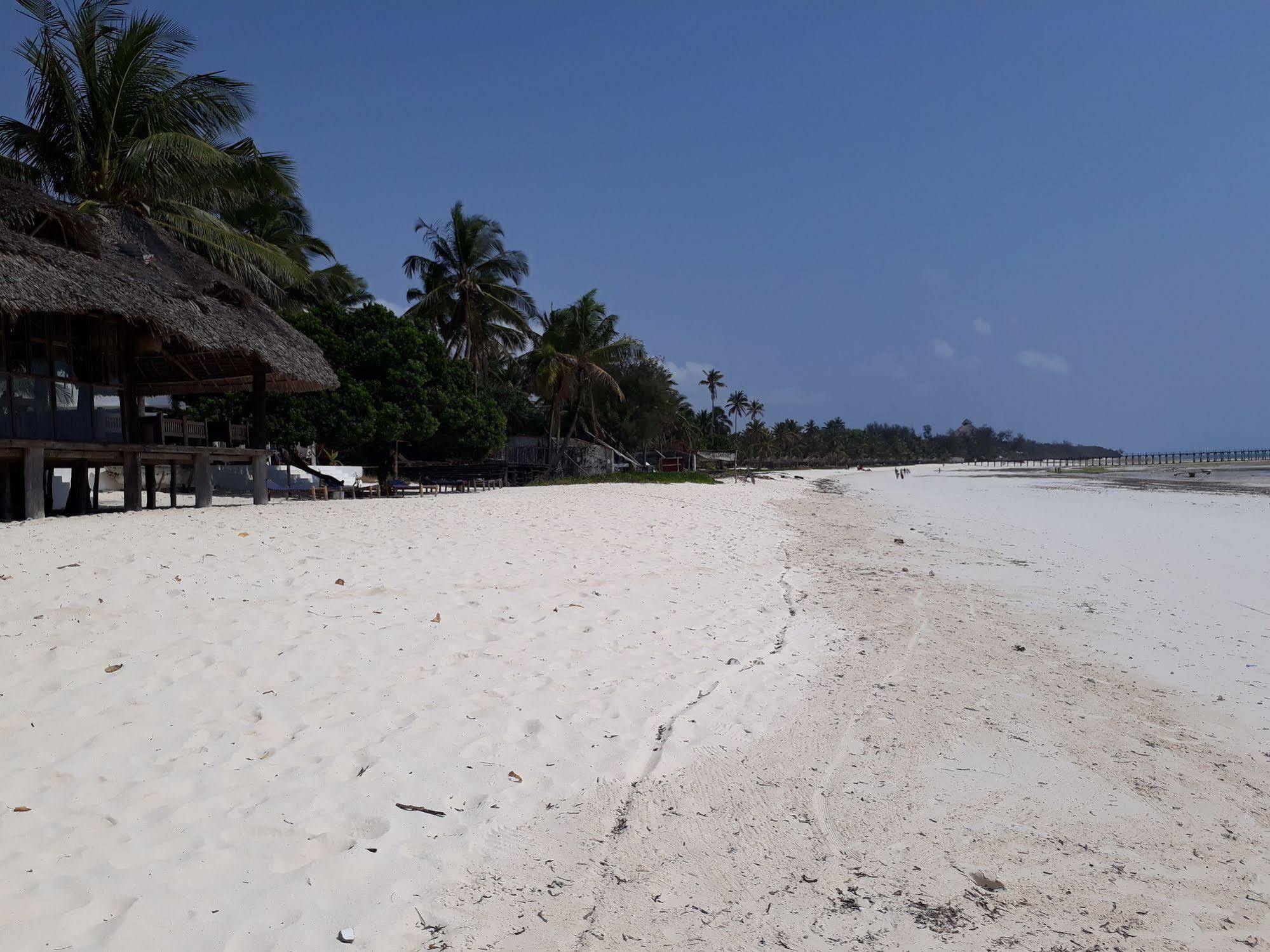 Albatross Ocean View Hotel Dongwe Ngoại thất bức ảnh