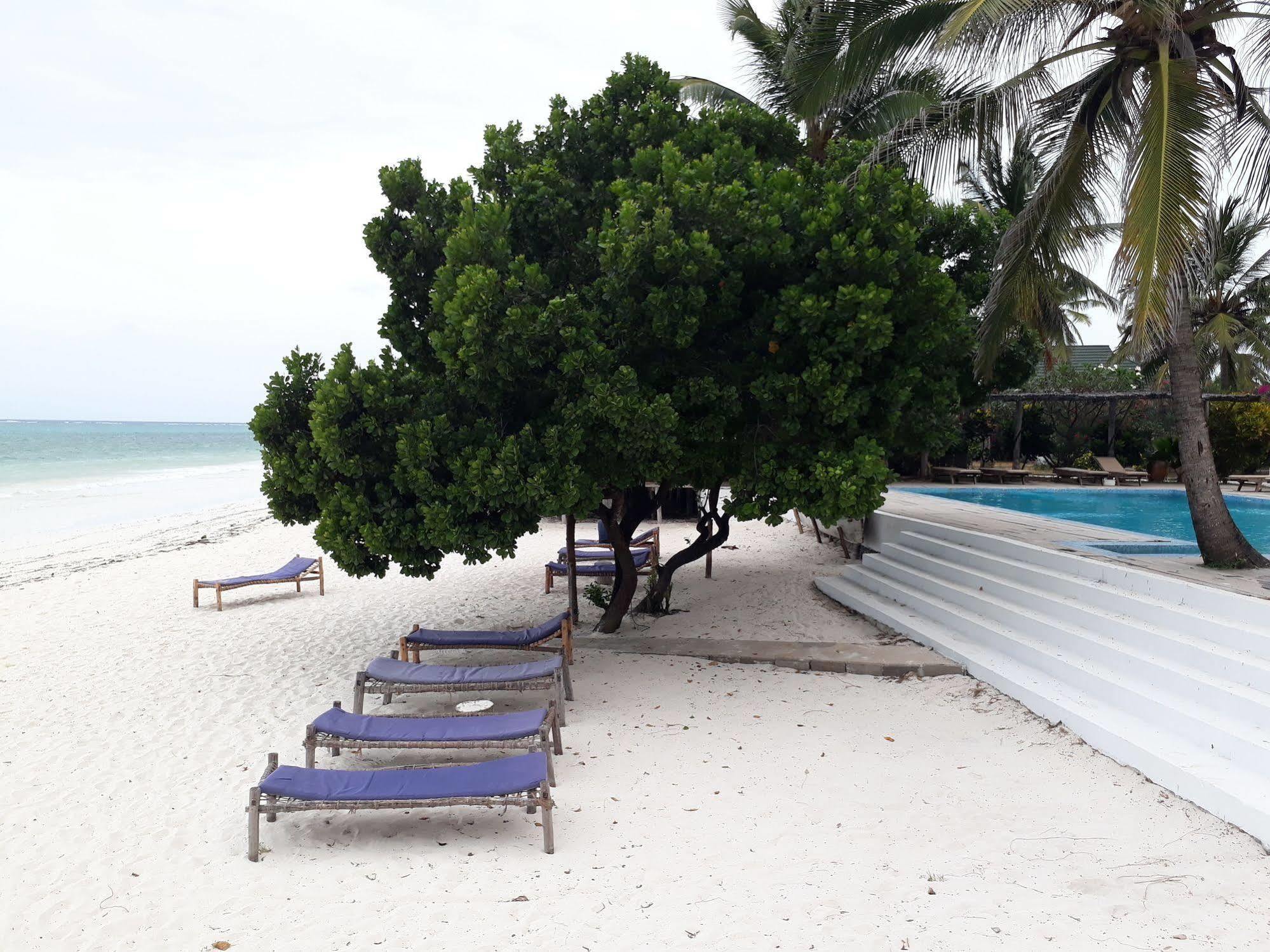 Albatross Ocean View Hotel Dongwe Ngoại thất bức ảnh